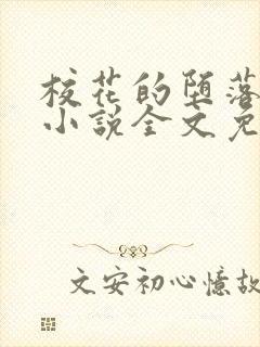 校花的堕落日记小说全文免费阅读