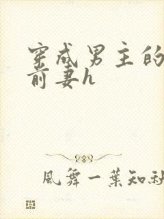 穿成男主的炮灰前妻h