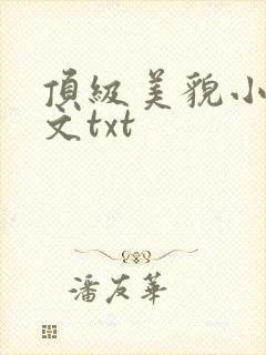 顶级美貌小说全文txt封面