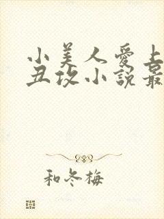 小美人爱上油腻丑攻小说最新章节更封面