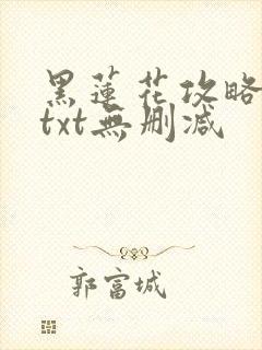 黑莲花攻略手册txt无删减封面
