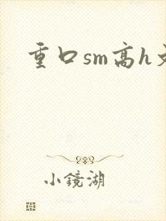重口sm高h文