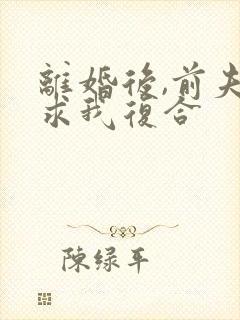 离婚后,前夫跪求我复合封面