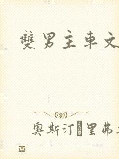 双男主车文随笔封面