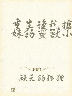 重生后我抢了师妹的灵兽小说封面