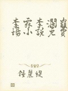 李霖李澜巅峰官场小说免费阅读