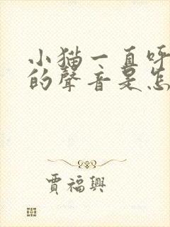 小猫一直呼呼呼的声音是怎么回事