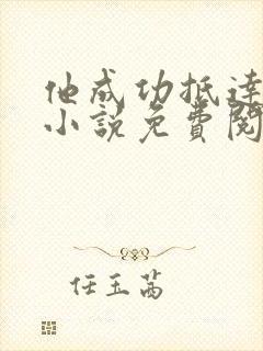 他成功抵达花心小说免费阅读全文封面