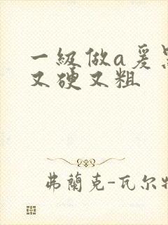 一级做a爰黑人又硬又粗