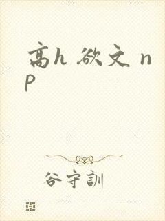 高h 欲文 np封面
