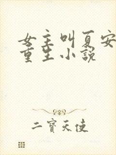 女主叫夏安安的重生小说