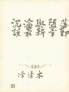 沉沦与堕落的小说最新章节