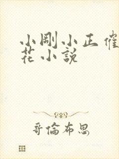 小刚小正催眠校花小说