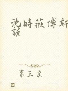 沈时薇傅斯年小说封面