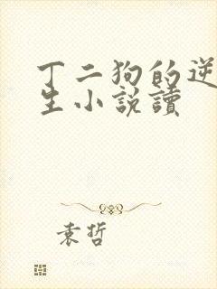 丁二狗的逆袭人生小说读