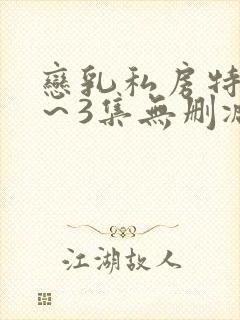 恋乳私房特注1～3集无删减