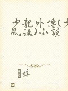少龙外传(少龙风流)小说