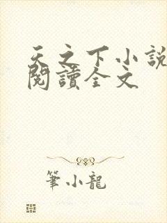 天之下小说在线阅读全文