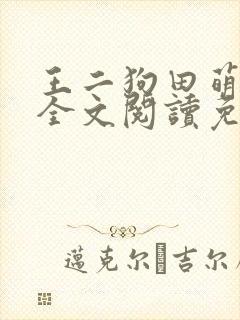 王二狗田萌小说全文阅读免费