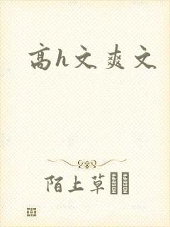 高h文爽文