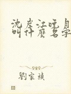 沈岸江晚月小说叫什么名字