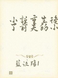 小说重生后我成了前夫的小舅娘封面