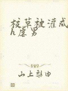 校草被灌成禁脔h虐男封面