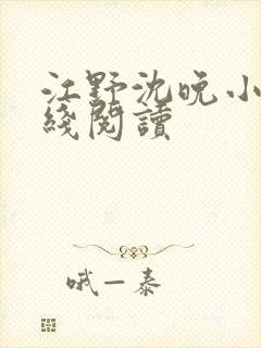 江野沈晚小说在线阅读