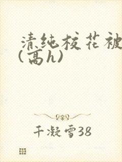 清纯校花被调教(高h)