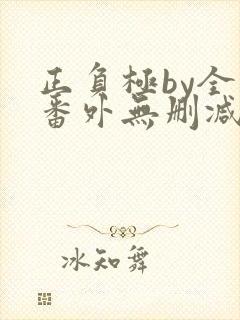 正负极by全文番外无删减