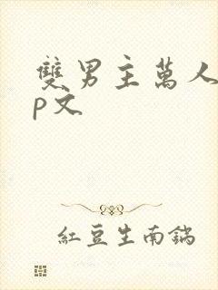 双男主万人迷np文