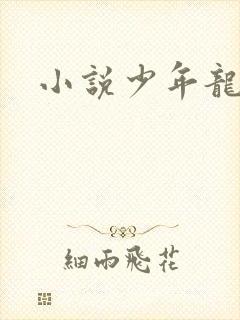 小说少年龙剑飞封面