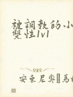 被调教的小太子双性1v1