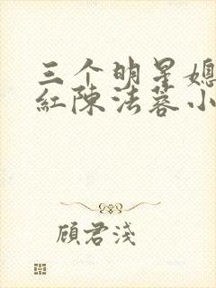 三个明星媳妇陈红陈法蓉小说封面