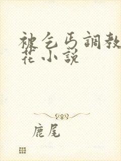 被乞丐调教的校花小说