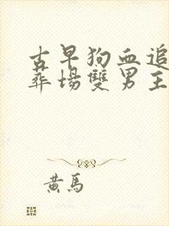 古早狗血追妻火葬场双男主封面