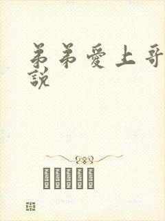 弟弟爱上哥哥小说封面