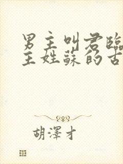 男主叫君临渊女主姓苏的古言小说