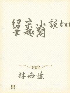 绍宋小说txt笔趣阁