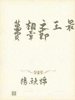 万相之王最新免费章节