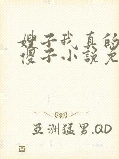 嫂子我真的不是傻子小说免费阅读