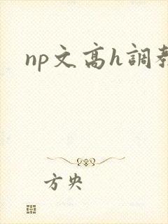 np文高h调教封面