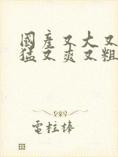 国产又大又黄又猛又爽又粗