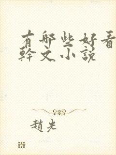 有哪些好看的高干文小说