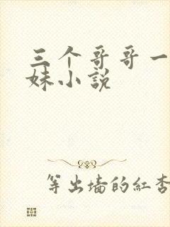 三个哥哥一个妹妹小说
