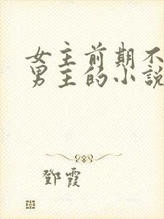 女主前期不喜欢男主的小说