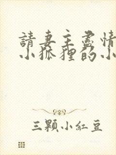 请妻主尽情吩咐小狐狸的小说免费阅读