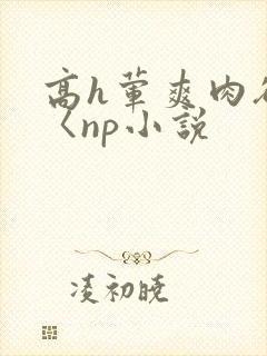 高h荤爽肉欲文〈np小说