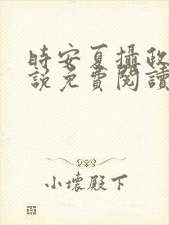 时安夏摄政王小说免费阅读