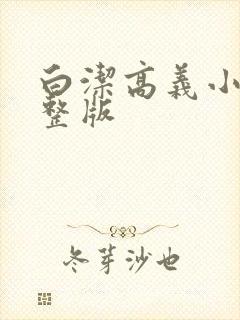 白洁高义小说完整版